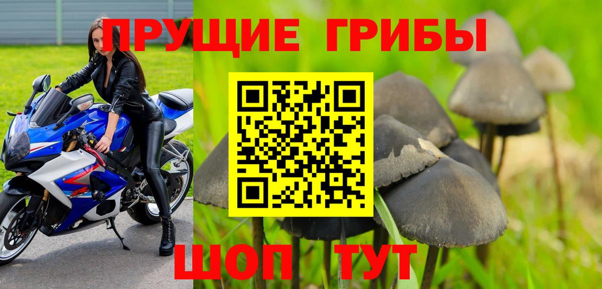 Галлюциногенные грибы прущие грибы  Вход с VPN  Кашира  Псилоцибиновые грибы GOLDEN TEACHER 